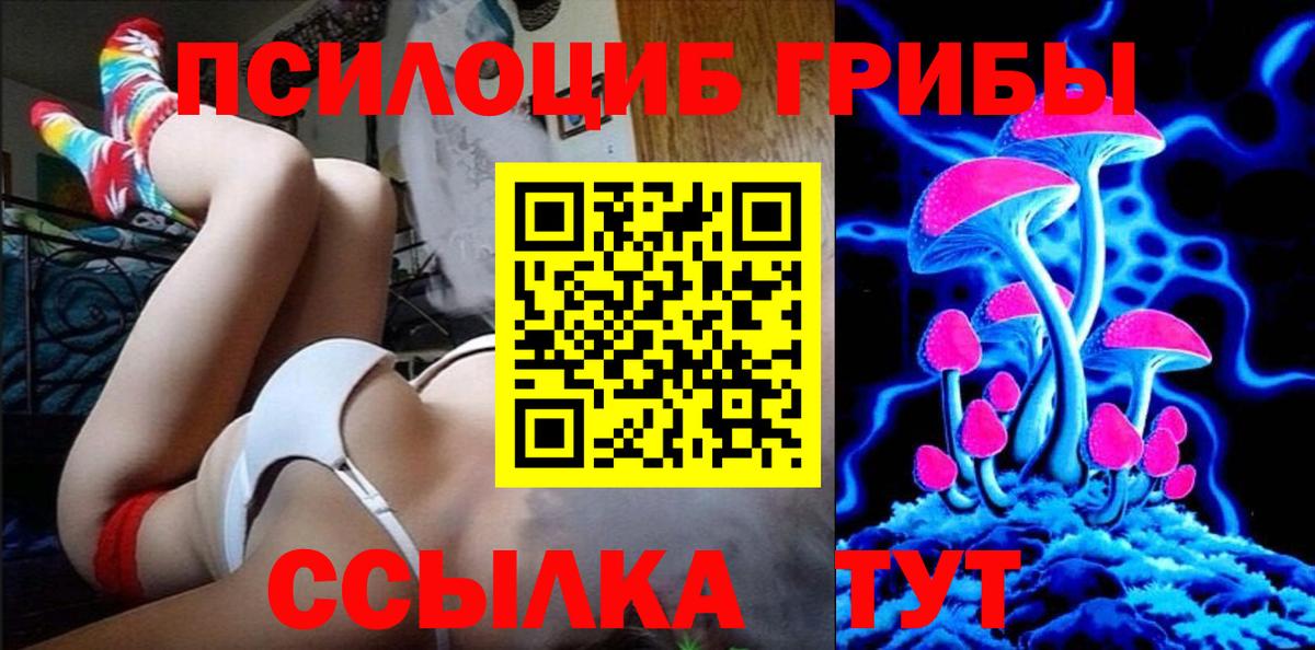 Галлюциногенные грибы MAGIC MUSHROOMS  Вход с VPN  Белая Калитва 
